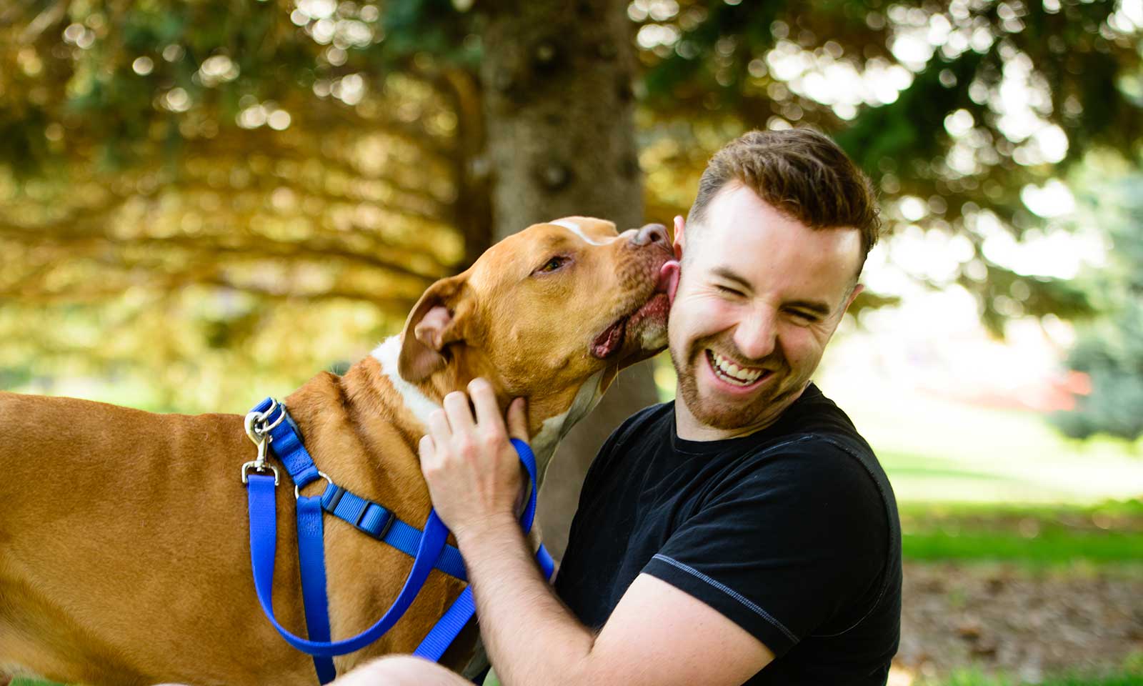 A man playing with his dog